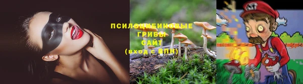 jwh Ладушкин
