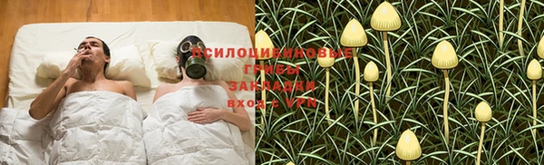 ешки Ивангород
